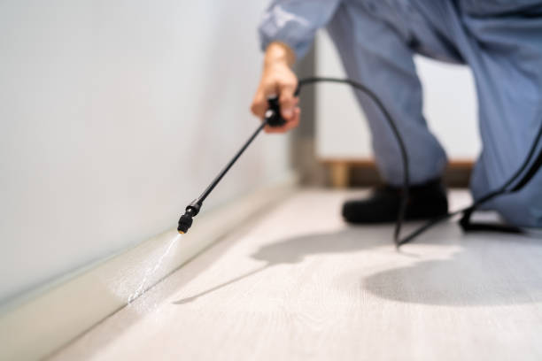 Licensed Pest Control service in Mount Gilead, OH - Show Me Pest Control