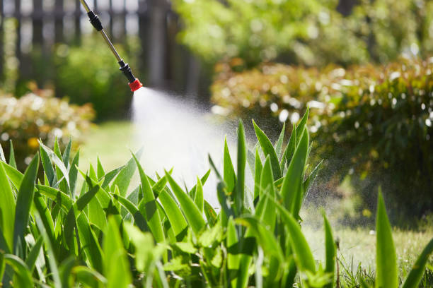 24/7 Emergency Wasp Removal experts in Mount Gilead, OH