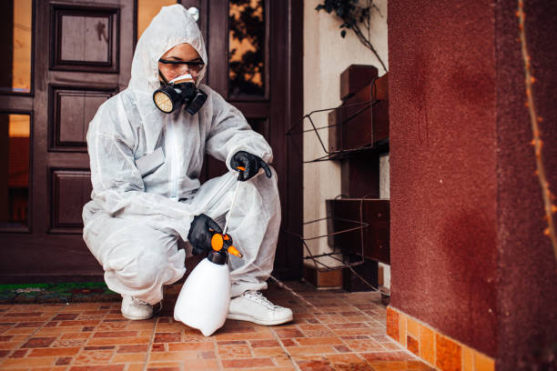 Reliable Wasp Removal contractor in Mount Gilead, OH by Show Me Pest Control