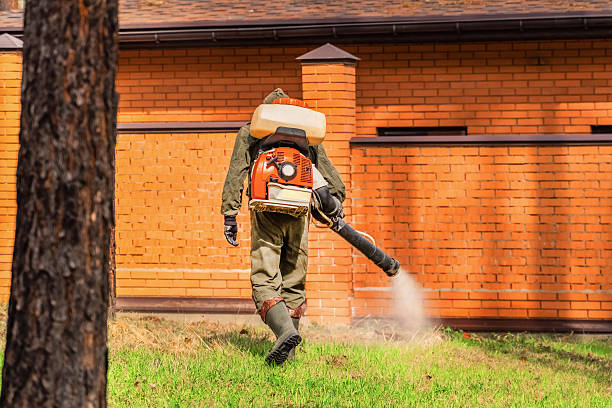 Top rated local Wasp Removal specialists in Mount Gilead, OH